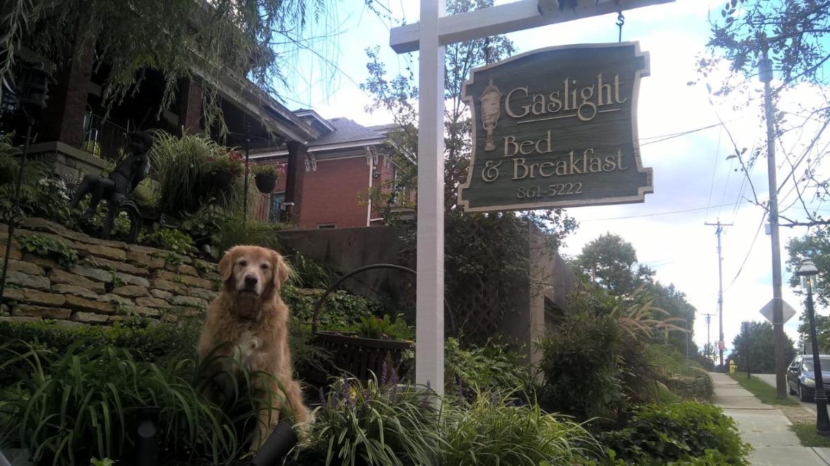 Gaslight Bed & Breakfast - Housity
