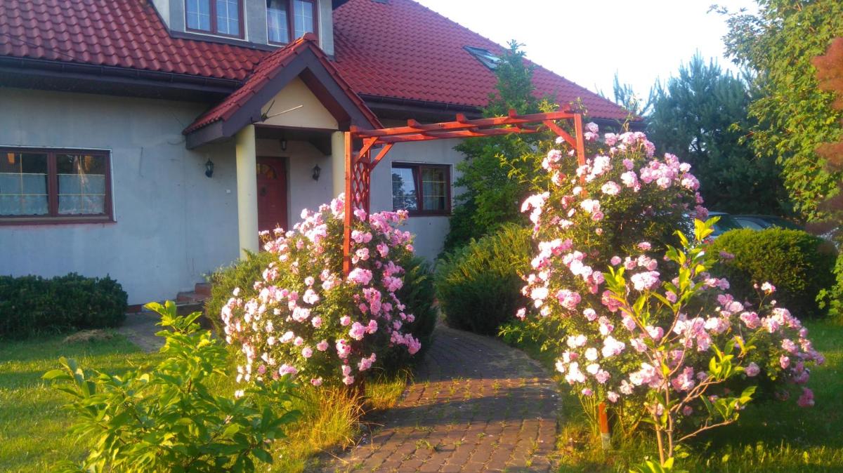 Comfortable house with garden - Housity