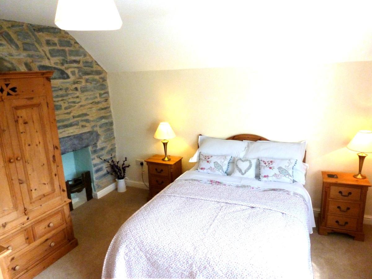 Dolmurgoch Snowdonia Cottage - Housity
