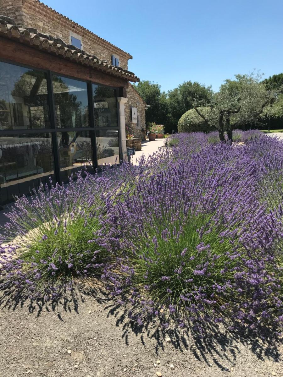 Jardin de l'établissement Mas De La Senancole & Spa