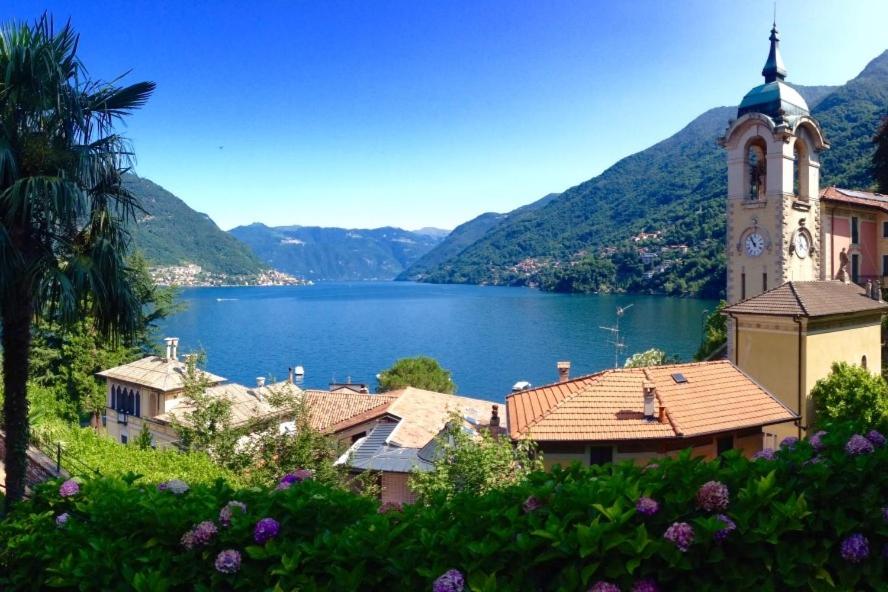 Riva di Faggeto Lario - Housity