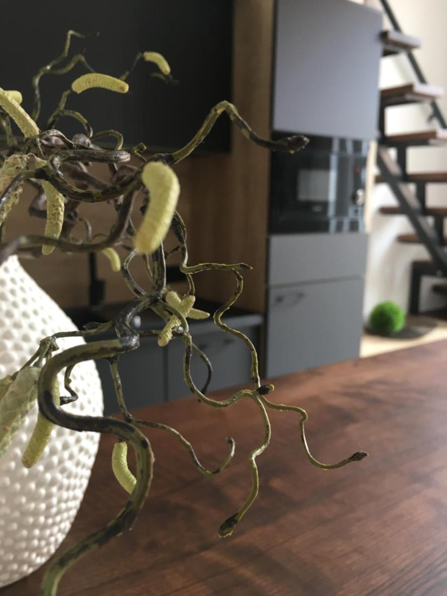 GOODMOOD Apartment - Housity