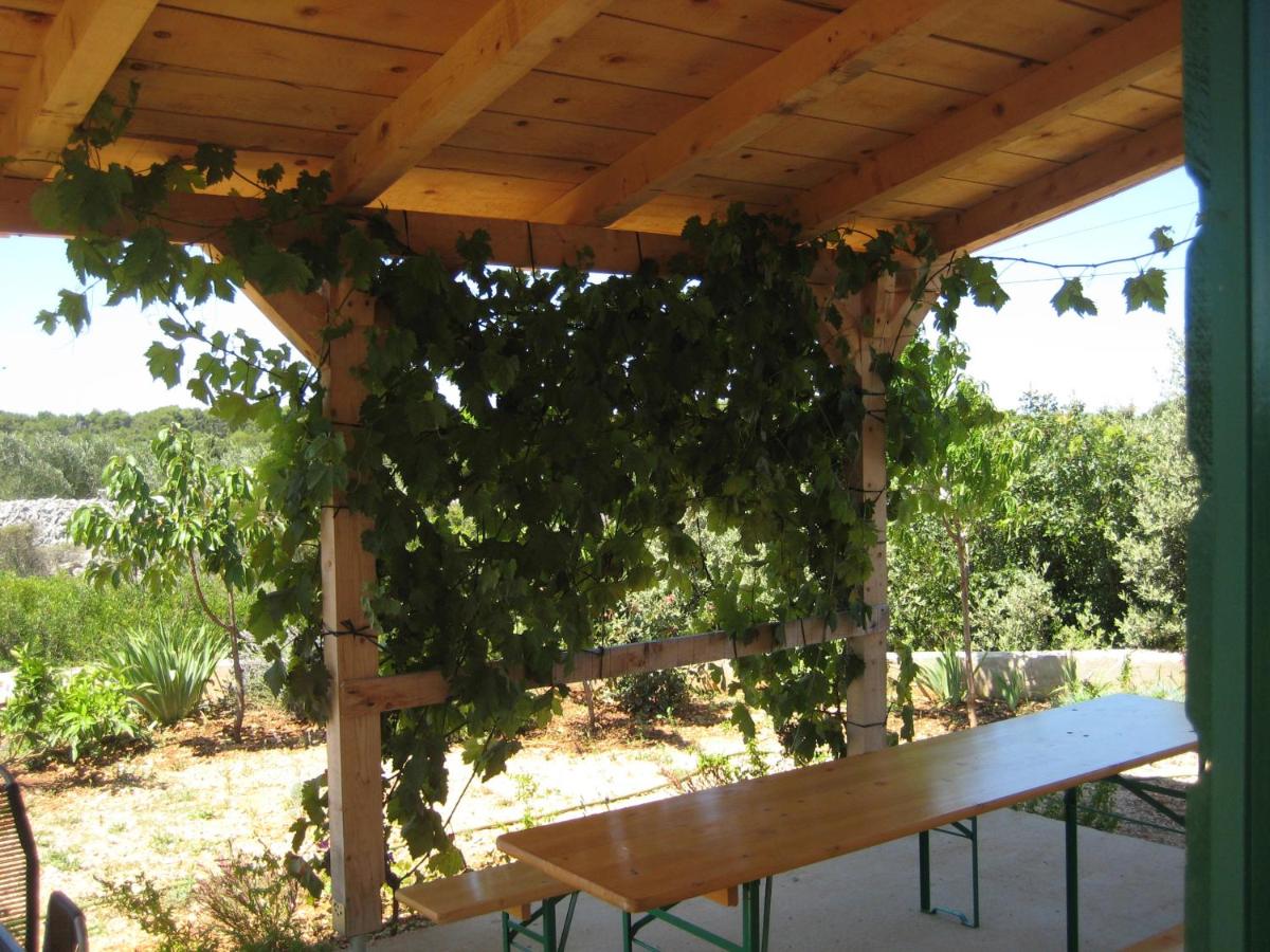 Villa Maria holiday country family house - Housity