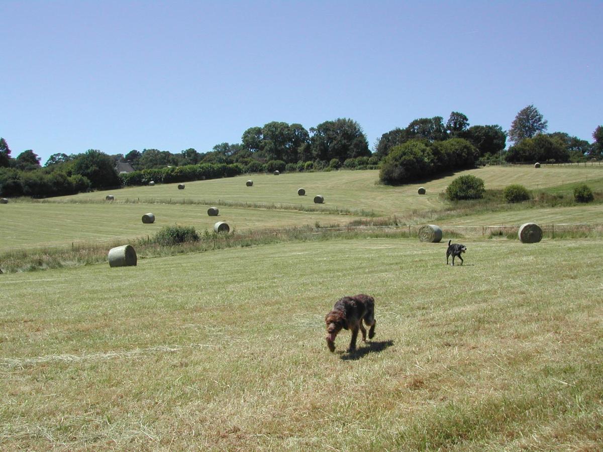 L'Auvraire B&B - Housity