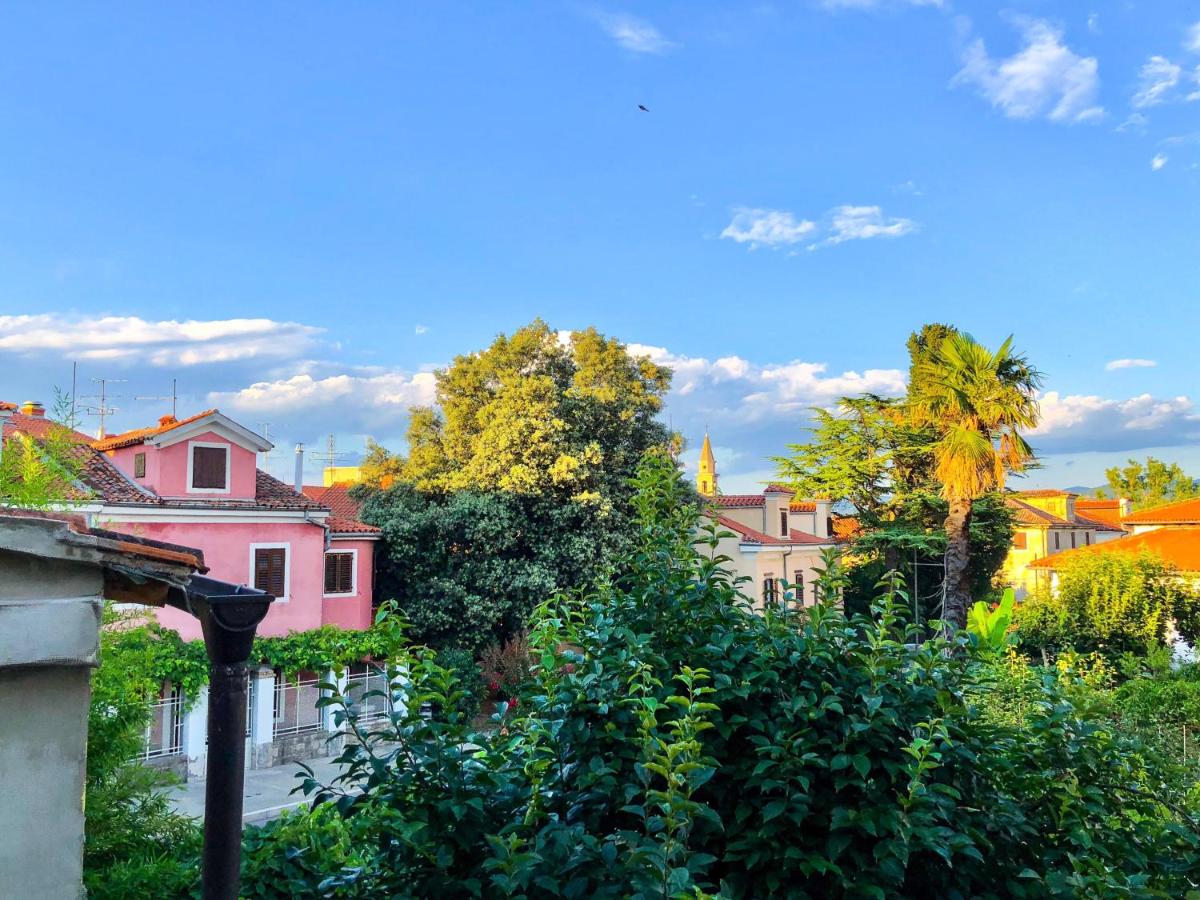 Apartments Matej - Hizvo