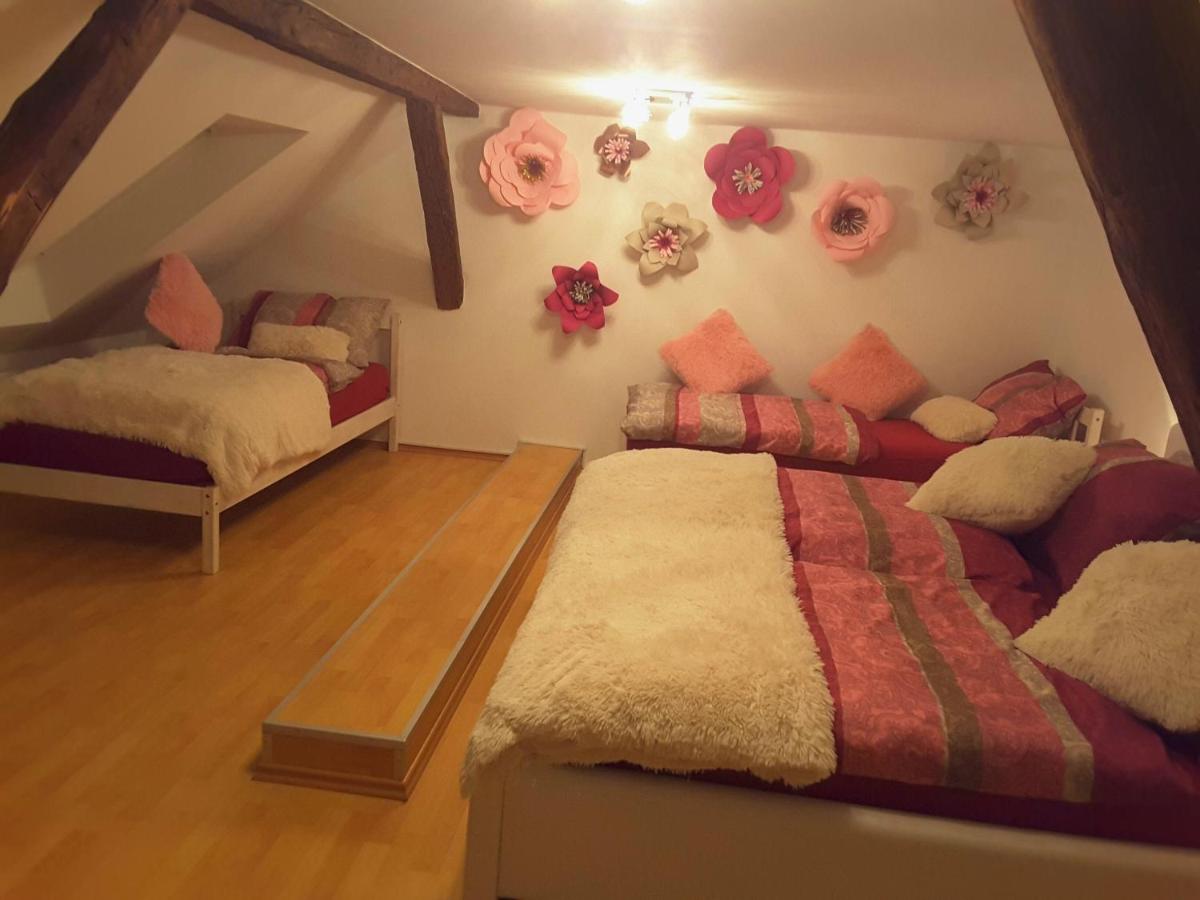 DELUX duplex apartment - Housity