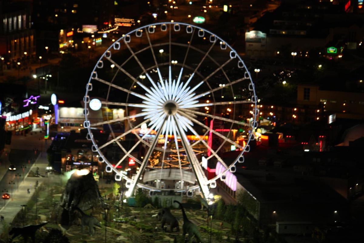 Ellis House Bed & Breakfast - Housity