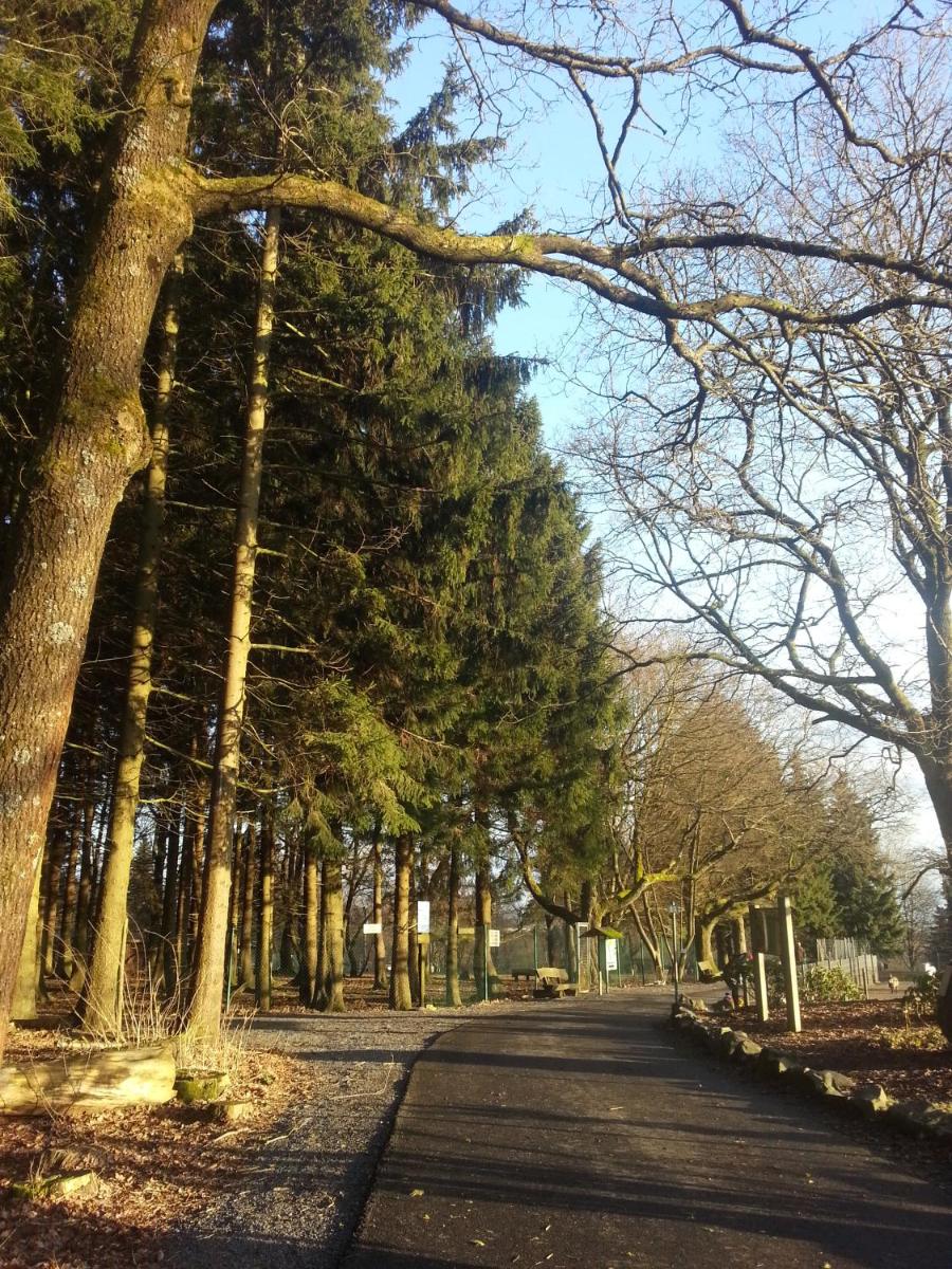 Ferienhaus Angela - Housity