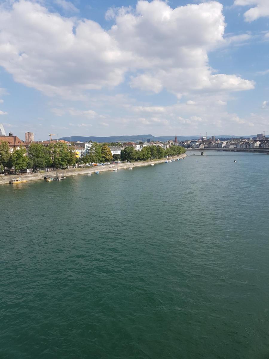 Apartment am Rhein - Housity