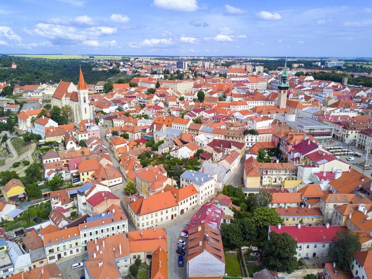Apartmán Antonínská - Housity