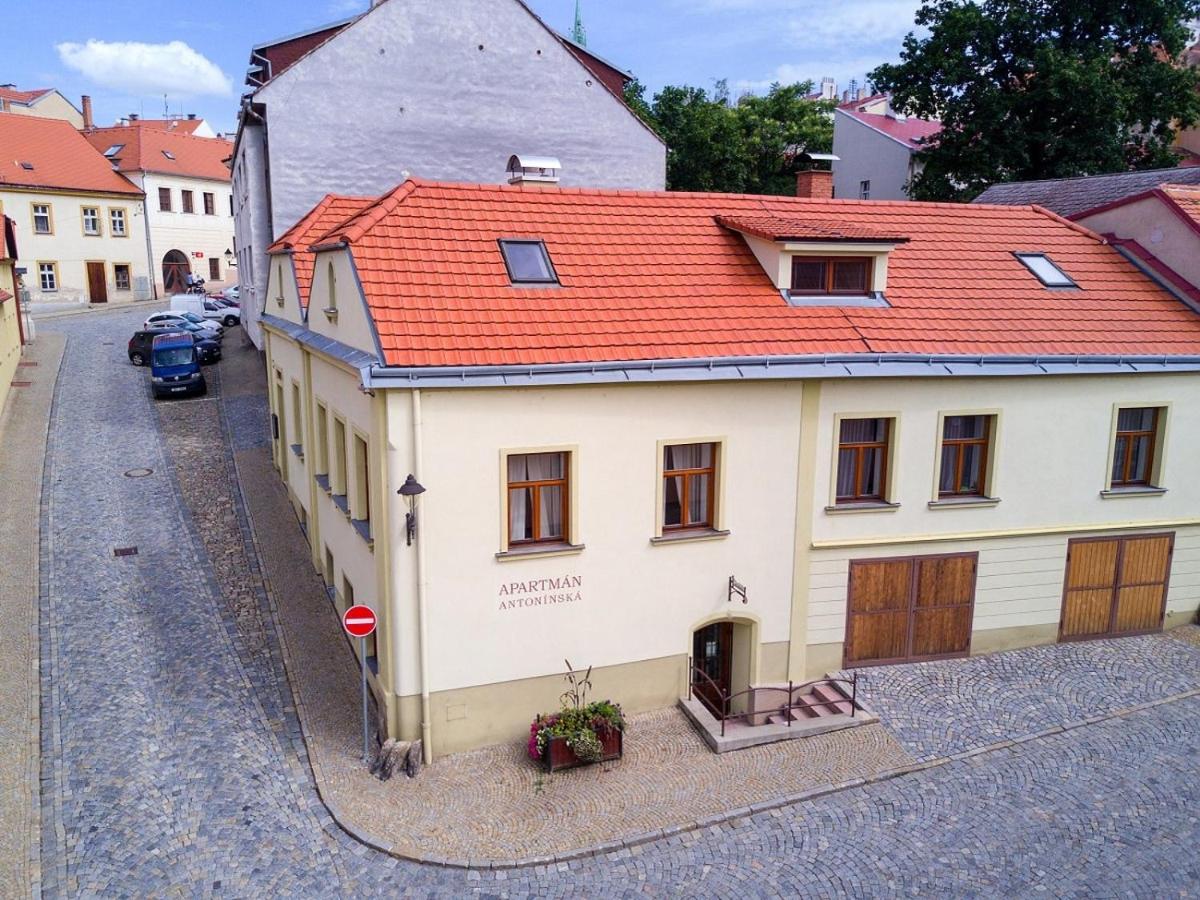 Apartmán Antonínská - Housity
