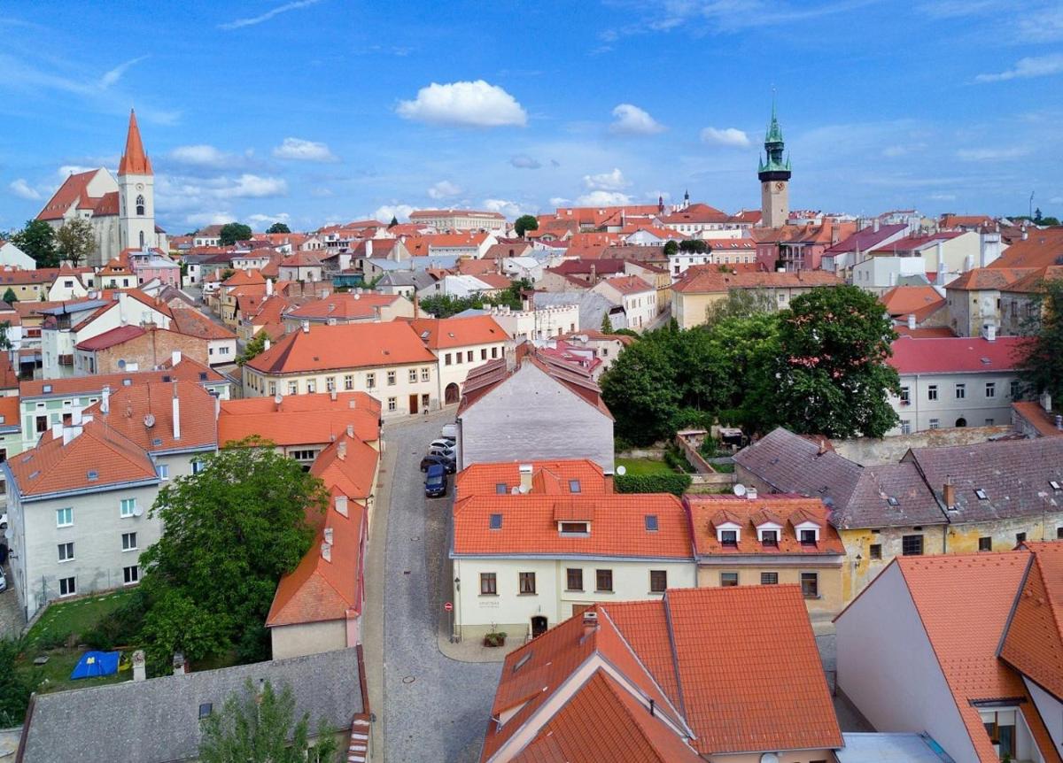 Apartmán Antonínská - Housity