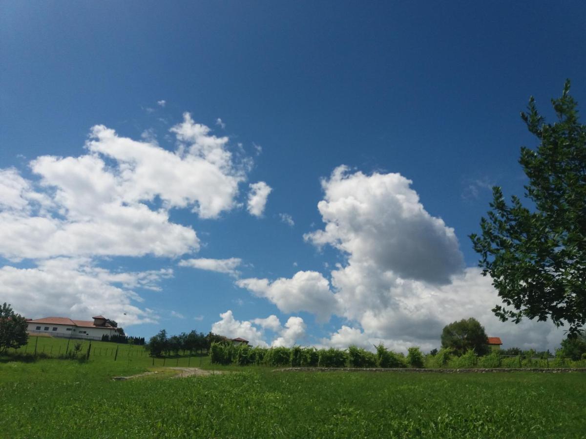 Apartmani Vinogradi - Housity