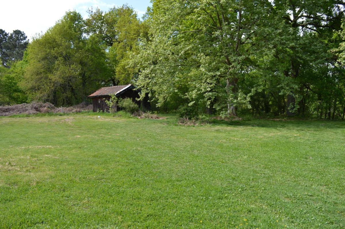 Cabane en forêt - Housity
