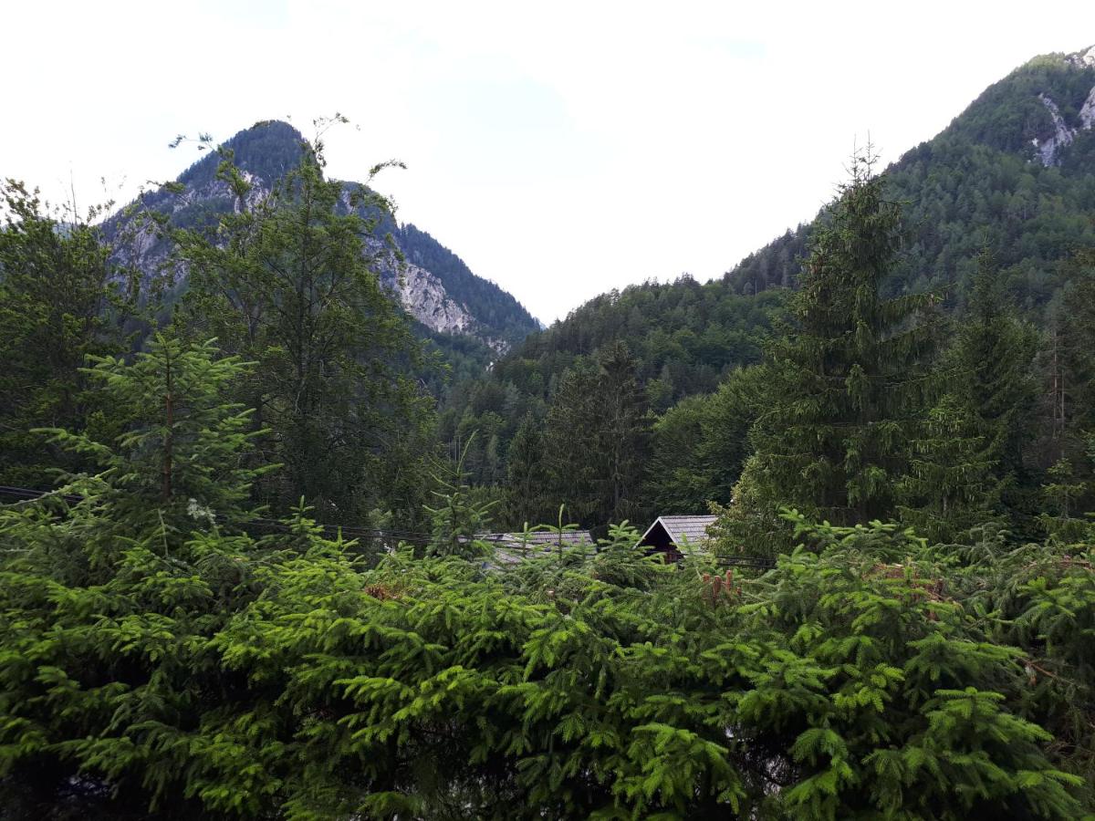 Holiday House Jasna - Housity