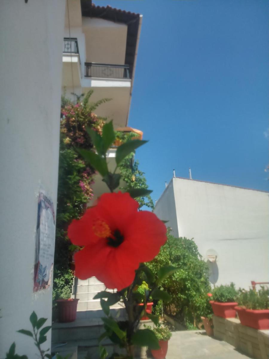 House Agapi - Housity