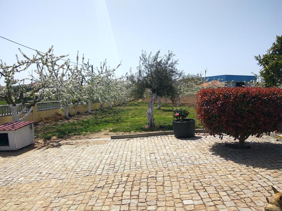 Joaquim do Norte - Housity