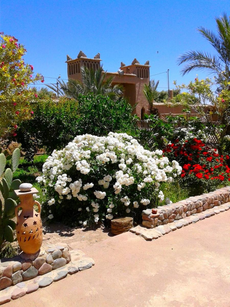 Kasbah Tiriguioute - Housity