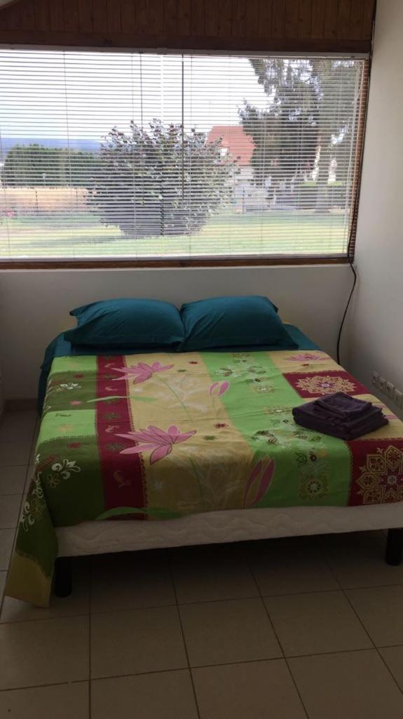 Studio cosy au calme - Housity