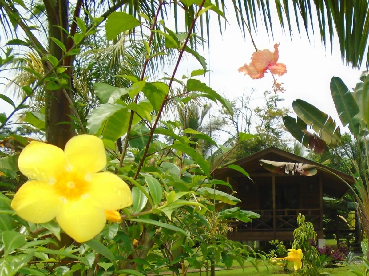 J and H Garden Cabinas - Housity
