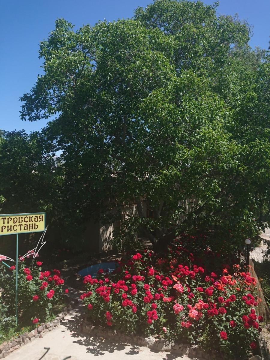 Petrovskaya Pristan - Housity
