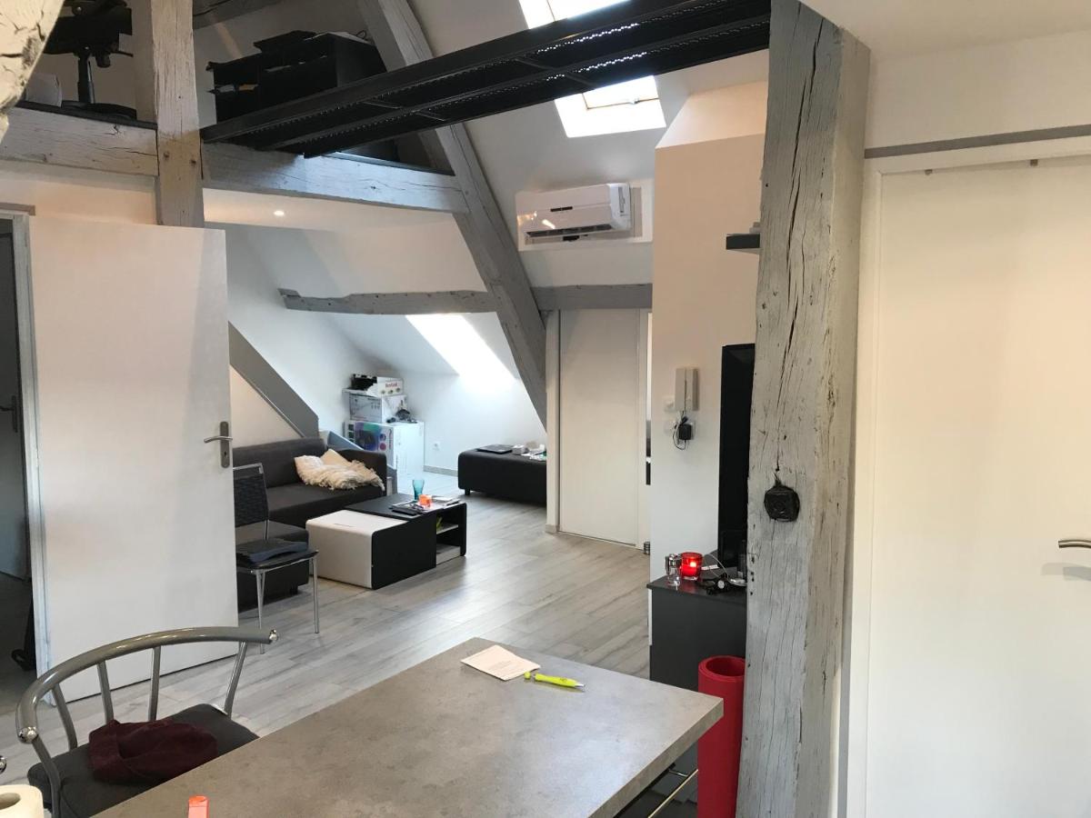 Appartement Hyper centre Silencieux Lumineux - Housity