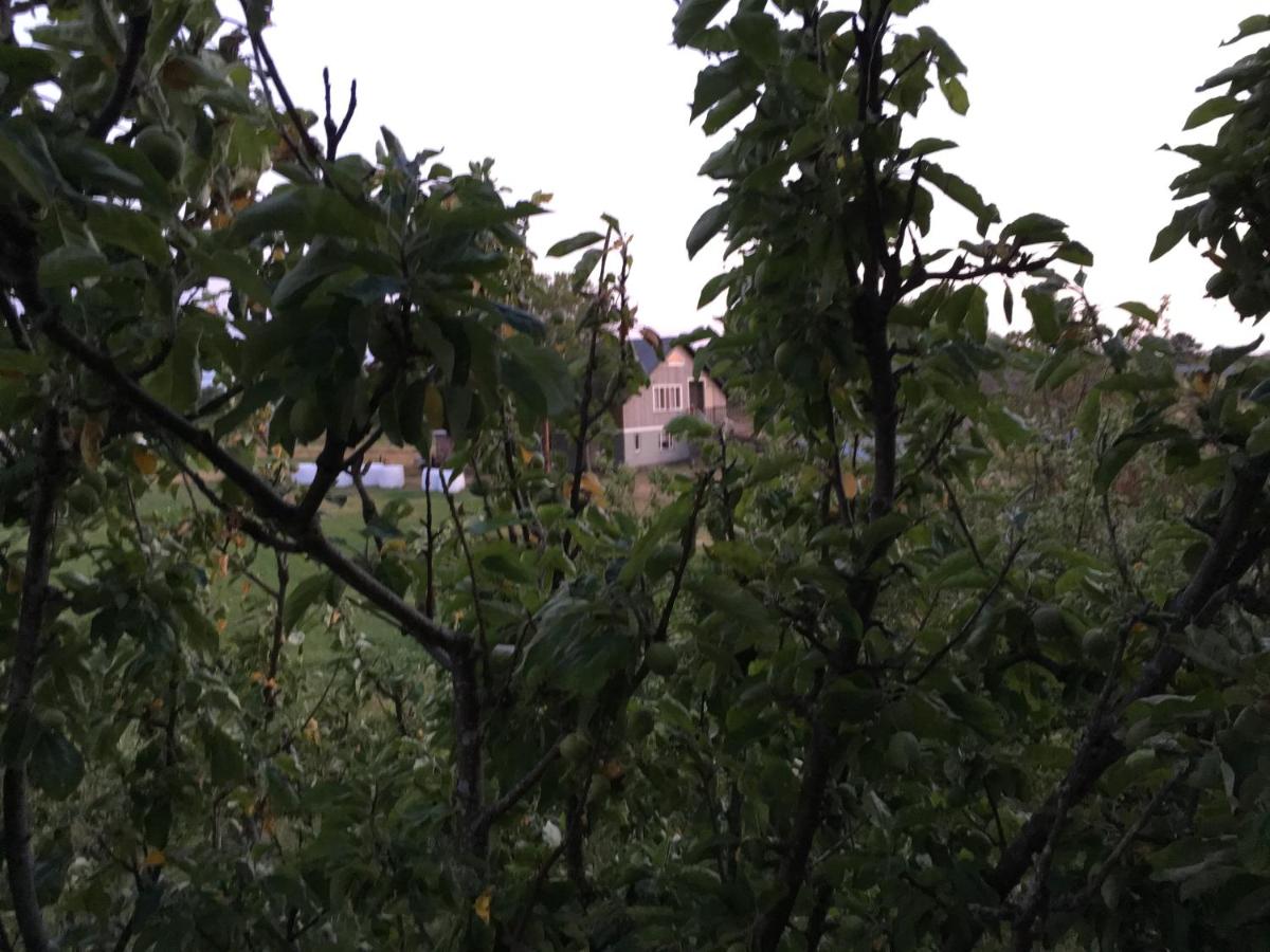 Skinnars - Small cottages in the archipelago - Housity