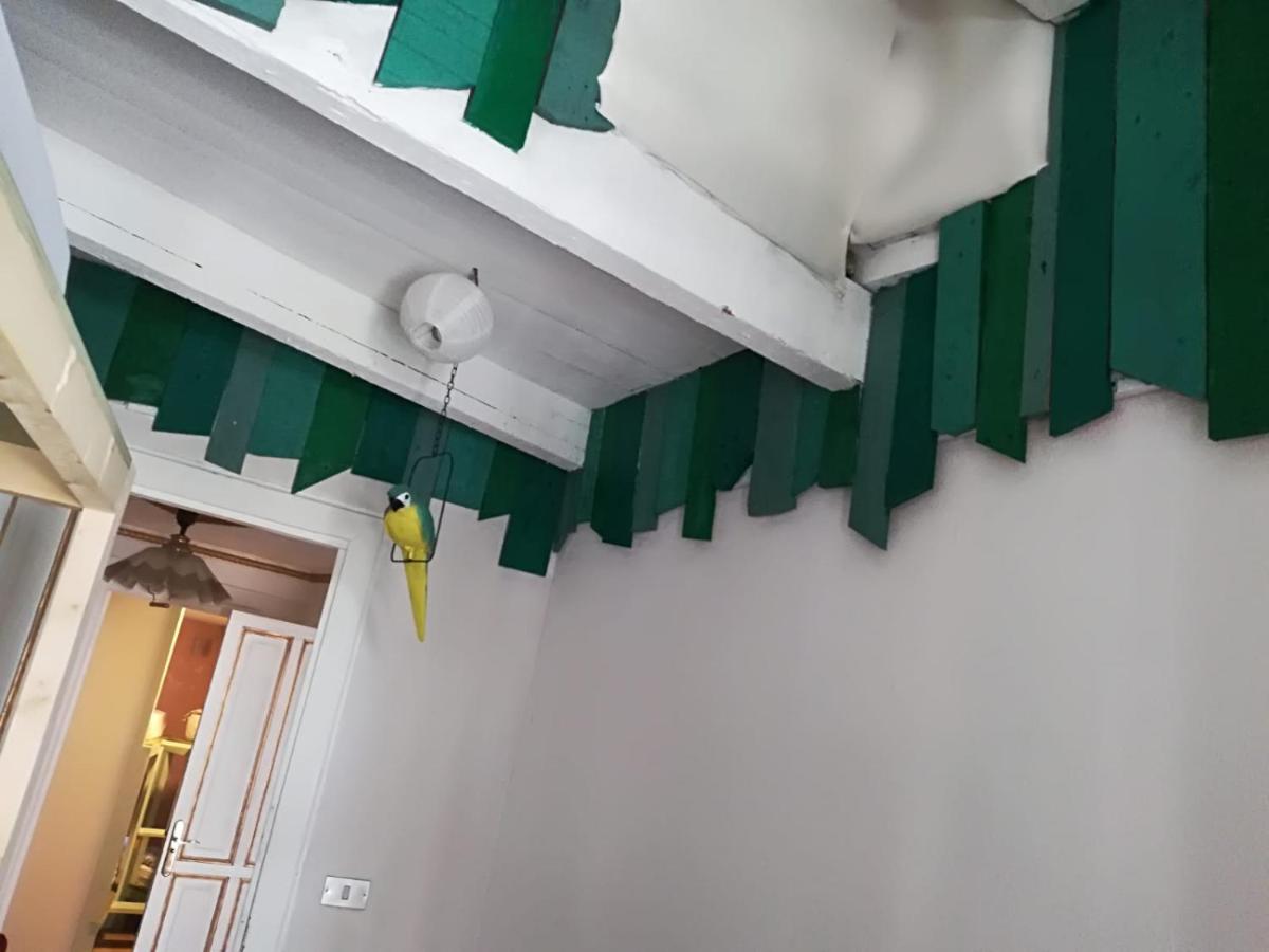 International Hostel Lapplandia B&B. - Housity