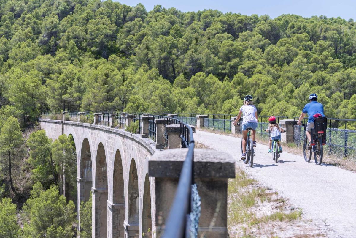 Montar en bicicleta en Hotel & Resort Vilar Rural d'Arnes by Serhs Hotels o alrededores