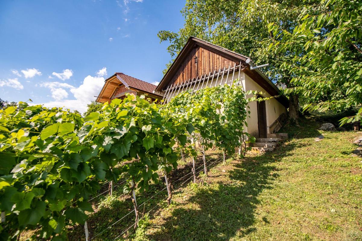 Vineyard Cottage Pod Piramido - Housity