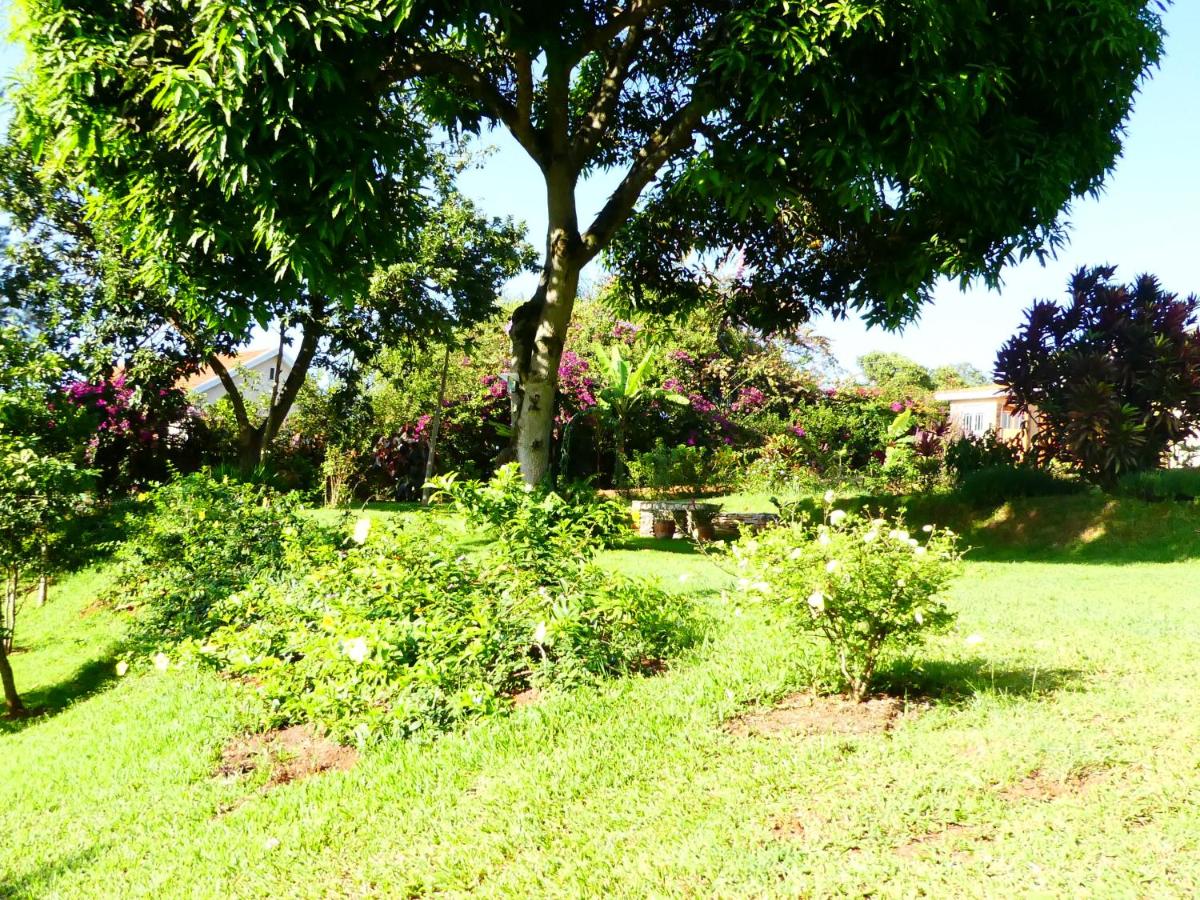 Pineapple Guest House Entebbe - Hizvo