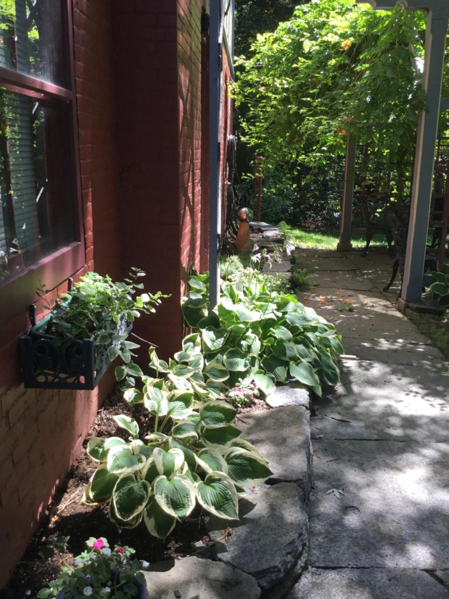 Amherst Inn - Housity