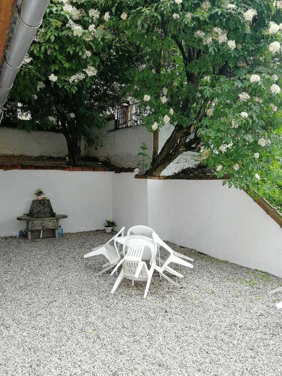 Apartments Dijana - Housity
