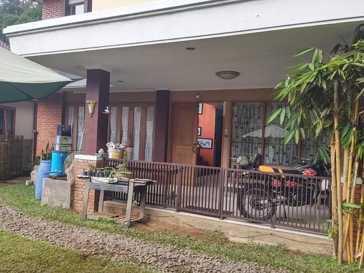 Homestay Triniti - Housity