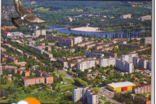 Apartment - Panasa Mirnogo 12 - Housity
