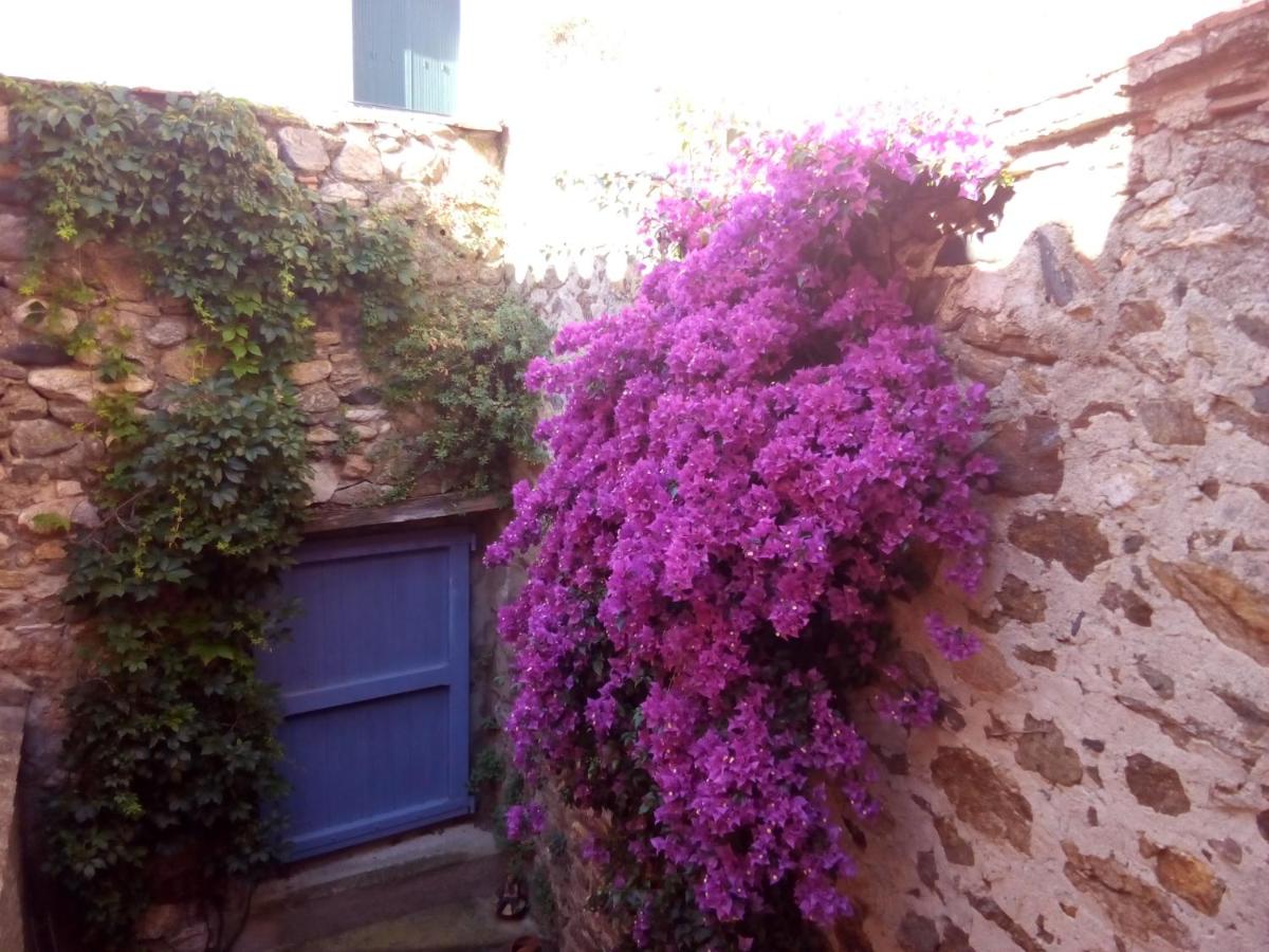 L'Art de Vivre - Housity