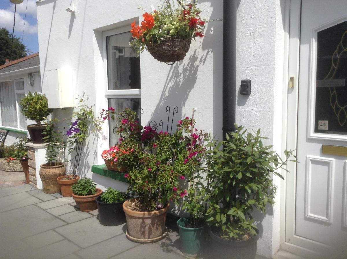 Drakewalls Bed and Breakfast - Housity