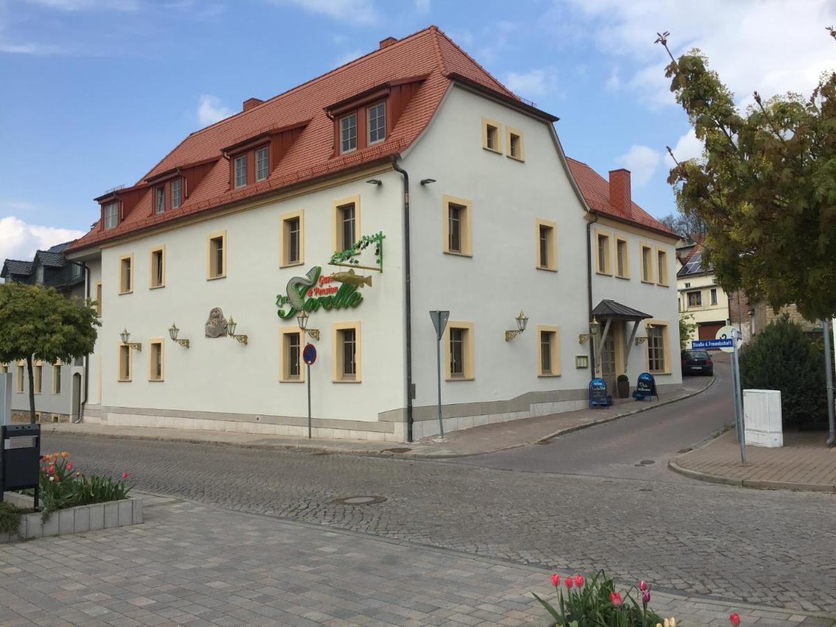 Pension Gasthaus Zur Forelle - Housity