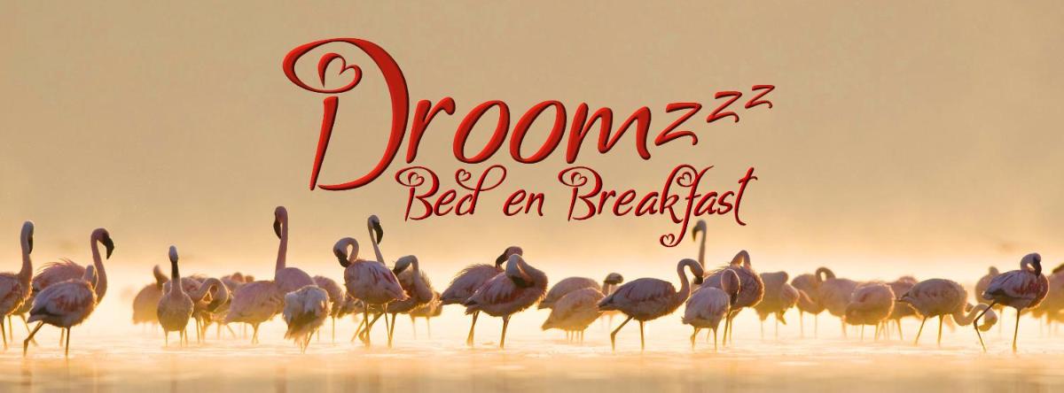 Droomzzz - Housity
