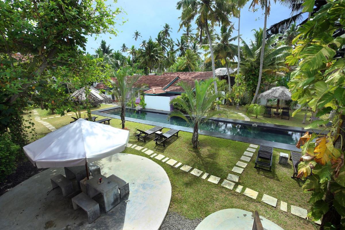 Turtle Eco Beach - Housity