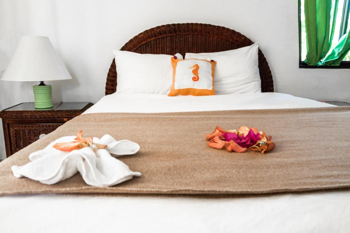 Riviera Punta Cana Eco Travelers - Housity