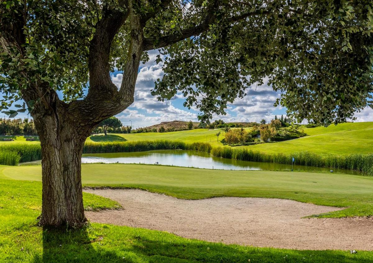 uma árvore sentada ao lado de um lago em um campo de golfe em Crowne Plaza - Caparica Lisbon em Costa da Caparica