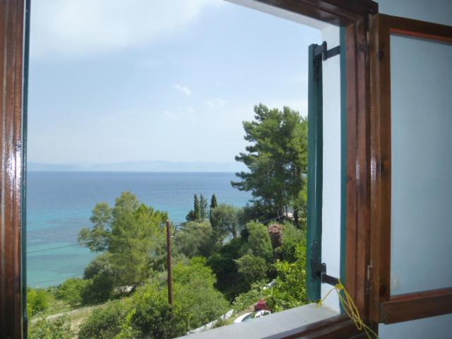 Studios Andreas - Housity