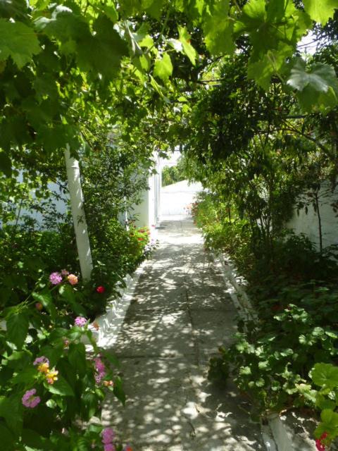 Studios Andreas - Housity