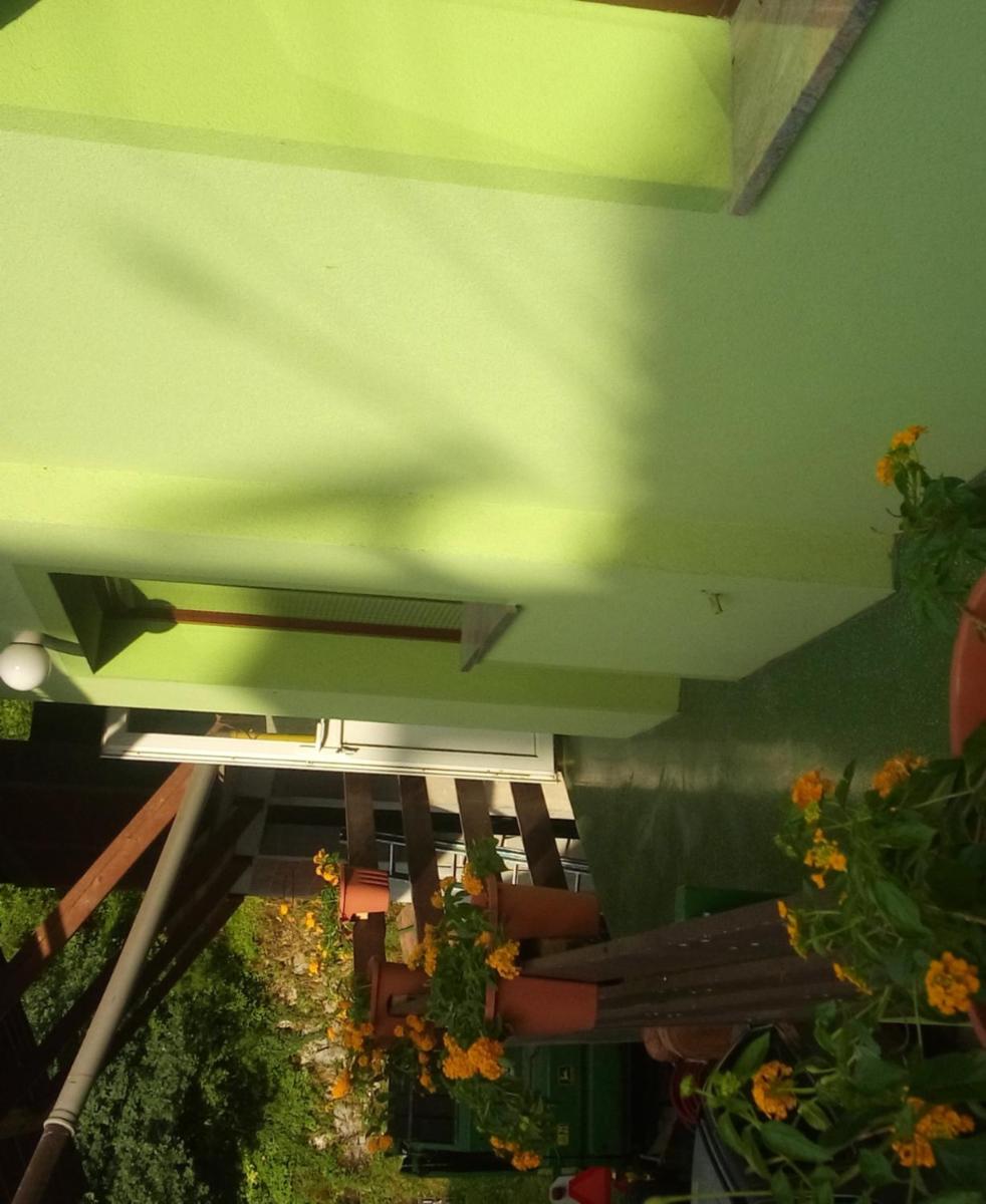 Apartma Juha - - Housity