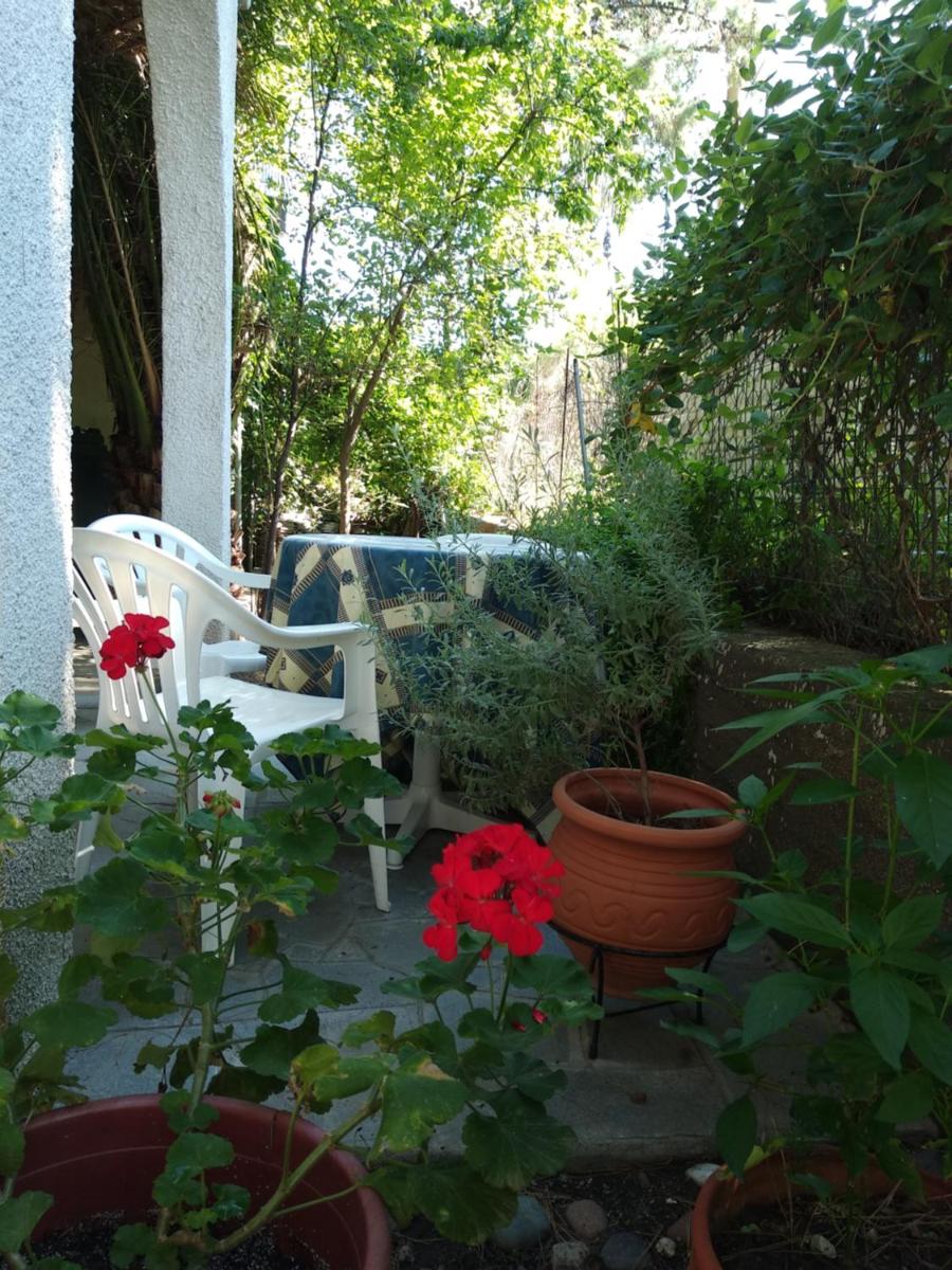 Velikis Apartments - Housity