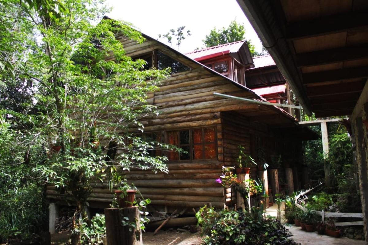 Paraiso Verde - Housity