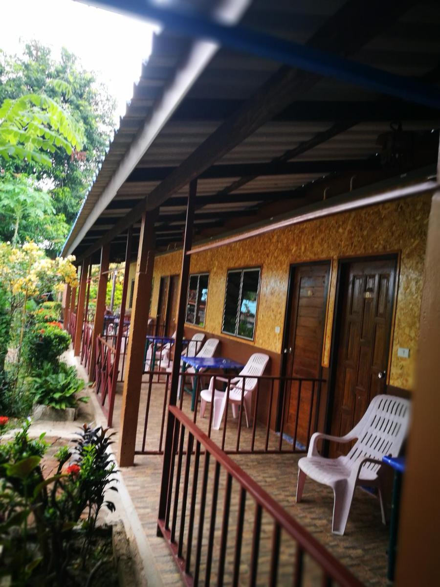 Smiley frog - Housity