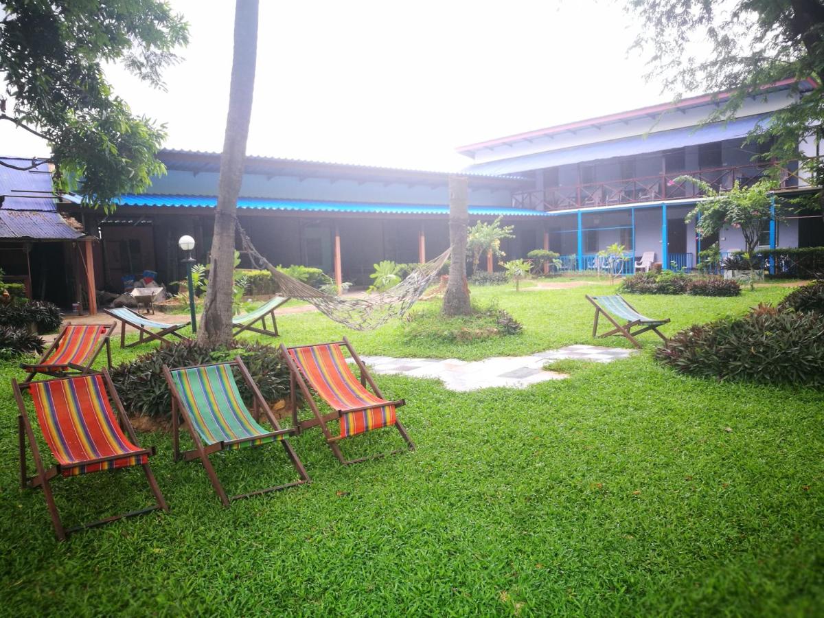 Smiley frog - Housity