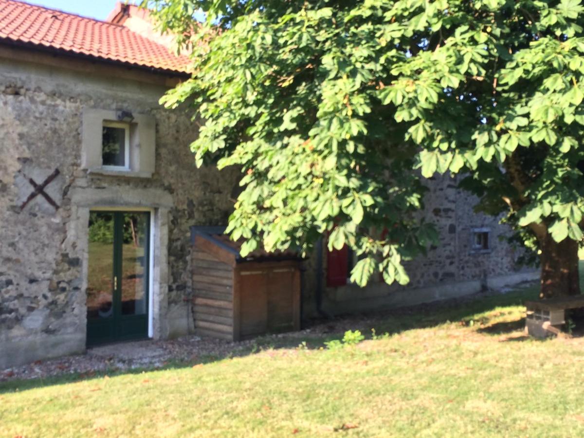 Le marronnier entre Les Buis - Housity
